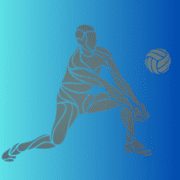volleyball icon